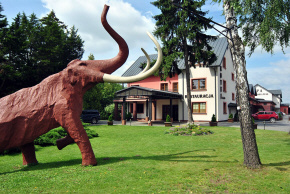 Hotel Zamość noclegi konferencje SPA basen restauracja kręgielnia Polska